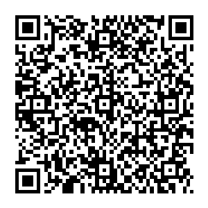 大部分都是叶宗满在岛国征召的战斗力剽悍的浪人武士和三十六岛之夷以及大明逞凶斗狠的泼皮无赖和无业游民二维码生成