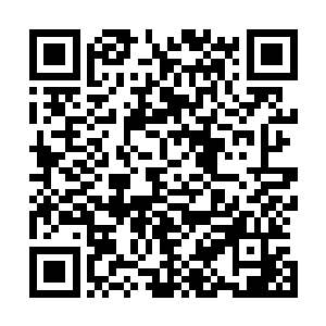 大量的过激场面和奢华镜头让他们在审丑和审美中来回摇摆二维码生成