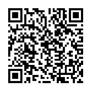 大陆上又多了几个巫师天才……几个组织开始暗中的碰撞么二维码生成