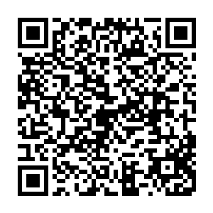 大雕和小雕则是站在屋顶的最顶端抬着头注视着周边的情况异界最强系统二维码生成