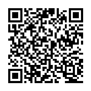 大风国太子宇文成才也在开会商议如何对付大甫国和盛家二维码生成