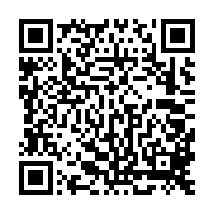 大鹏也只能利用自己的速度不断的对杨风法和欧阳若兰发动攻击二维码生成