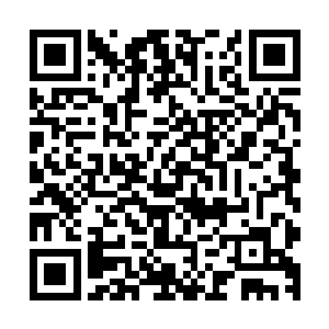 天下屈指可数的刀法宗师毛舒朗与龙宫客卿嵇六安就更为稳重二维码生成