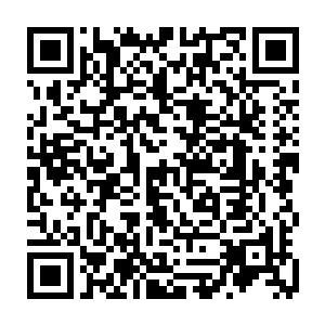 天下第一山庄的杂牌军们可是经过了几日几夜的行军才抵达的独龙寨山脉下方二维码生成