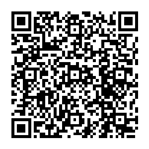 天仙分身百分之七十已报名参加此次虚拟演习……青制推演数据已注入各州诸侯府二维码生成