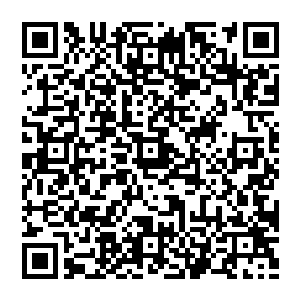 天地动荡　打得鲜血横流　他原本恢复的身躯　在几人的围攻之下再次负伤　甚至隐约的可以看见其中的骨骼二维码生成