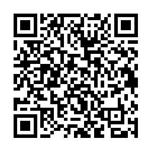 天寒剑的攻击和刚刚反弹回去的攻击作用在一个点上二维码生成