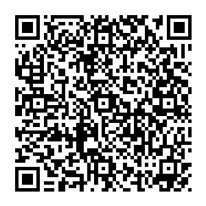 天幸和敖樱兰为主导的宠物们带着未曾达到金仙的宠物们驾驶着水晶飞舟前往别的洲域去解决宠物们金仙劫的问题二维码生成