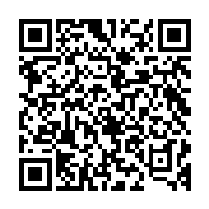 天灾门的蔡武吉长老和武神宫的武墓神统领已经是等候多时了二维码生成
