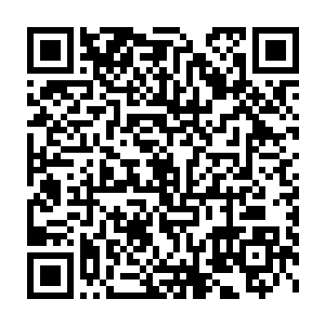 天然具备现代计算机和灵能计算技术两种属性小苏小光来作为中转二维码生成