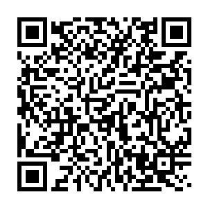 天真活泼的小姑娘在现在的她身上找不到任何影子星海战皇最新章节二维码生成