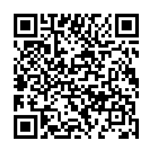 天荒石几十条树干同时动起来发动攻击是多么可怕的一幕二维码生成