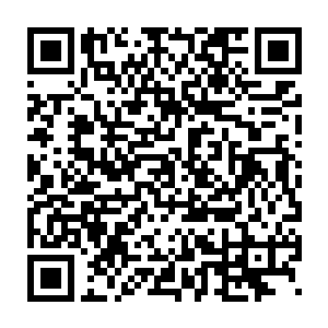 天衍星只是一个微不足道的下界位面中的一颗稍微大一点的星球而已二维码生成