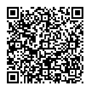 天赋名单是神凰岛青虹仙子和一名神凰岛长老根据近年来天才战和各宗会武的成绩而评定的二维码生成