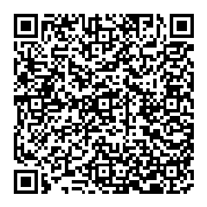 天道意志与僵尸之王的意志演化无数生灵 天道虽有 但却无形无相 而僵尸之王却是原本存在 他演化的自然存在二维码生成