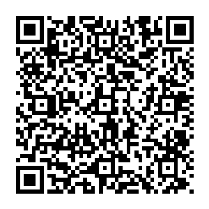 天降意象 将其衬托的威武不凡 果真是圣子就是不一般 明亮的虚空各种号角之声响起二维码生成