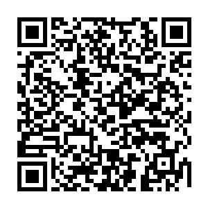 天青色的床单和叠放得相当整齐的被褥看上去竟然有一种不忍破坏的格调二维码生成