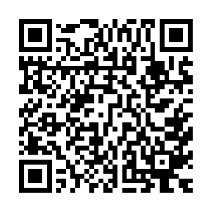 天鹤家族是真的对暗星界的某些独一无二的稀缺资源非常看重二维码生成