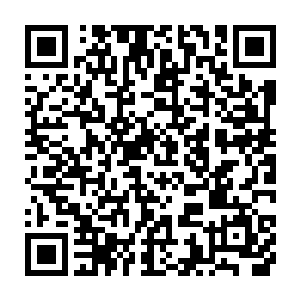 天龙宗成立的消息很快通过各种各样的途径在整个仙界传播了开来二维码生成