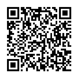 太医也看到了站在一旁的和谢家这位二小姐面容一样的小姐二维码生成
