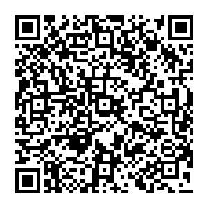 太可怕了……这沈凡到底是什么来历……即便是本体所在的那一方世界也很少见到这种妖孽啊二维码生成