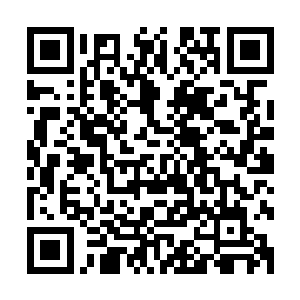 太和弟子对这位独自支撑了修真界数千年的老祖自是完全信任二维码生成