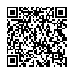 太夏如果还有什么家族敢说自己家族的粮种完全可以放心二维码生成