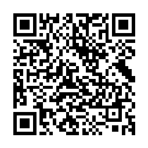 太白金星第一次率众仙在灵霄宝殿上提起了天蓬月树花蕾的问题二维码生成