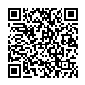 太赤麒麟看着代离一秒钟转变敌意戒备状态便是冷哼了一声二维码生成