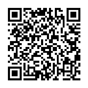 太过年轻的脸让他看起来实在不像是能管理一府事务的总管二维码生成