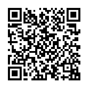 夭华用短短半个时辰左右就已经翻看完了澹台世家的厚厚家谱二维码生成