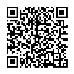 夭华的身体重重撞在坍塌下来堆积得差不多半人高的碎石上二维码生成