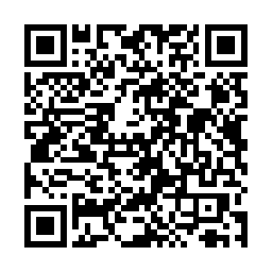 失去过斑点一次的木萦无论如何也不能失去它第二次了二维码生成