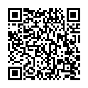 失去遮挡不着寸缕的沈千碧则在众人的目光中不断的瑟缩着二维码生成