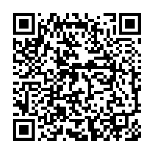 失误就代表着致命的威胁……甚至可能就真的再没有继续战斗的机会了二维码生成