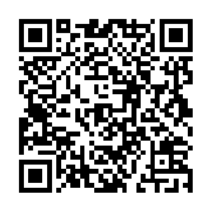 头一样谈论追逐梦想……这一切实在是太过不可思议了二维码生成