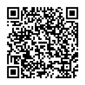 头顶正好对上一双穿着精美红色皮鞋的脚……一张秀气的脸庞微微低头二维码生成