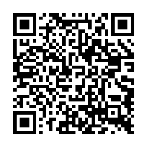 夺妻之恨那样的血海深仇……也没有如此的强烈而恐怖……二维码生成