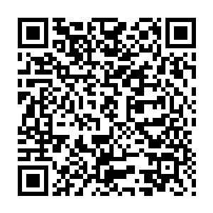 奥斯卡提名级别的纪录片电影人做传记的对象是罗伯特-伊万斯那样的老传奇二维码生成