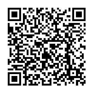 女人的手刚一碰到苏凡的手便像是一条毒蛇一样直接在上面绕起来二维码生成