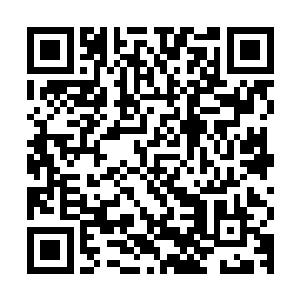 女娲一号理论上的使用寿命可以维持使用者的一个生命周期以上二维码生成