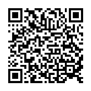 女孩泪流满脸……人模样的小白狼用尽了最后的力气……轻轻的二维码生成