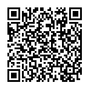 奴婢到了萧州之后便着手寻到了一位精通医理为人又老实本份的姑娘二维码生成