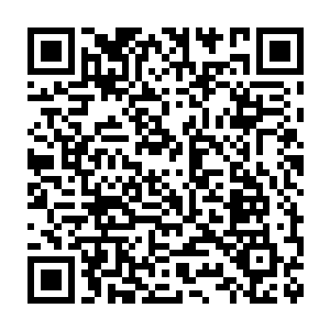 奴婢时才经过时似听到闫将军在求我们世子爷将他引见给英王殿下呢二维码生成
