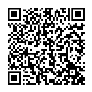 奴家问了很多丹师药王们都只此丹或许对菲儿才会效果为什么却此丹无效二维码生成