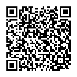 她……可是为什么到现在自己用尽所有办法对方仍旧没有丝毫反应呢二维码生成