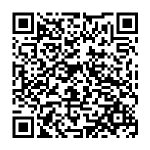 她一个个把止血的草药摊在地上给她们解释怎么利用细小的分别去辨认这些草药二维码生成