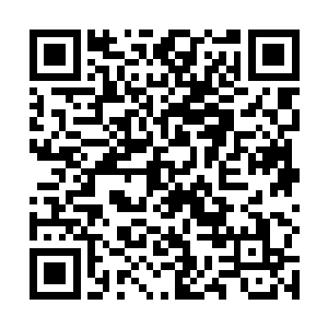 她一直以为自己会一心想要快点结束洛杉矶的宣传工作二维码生成