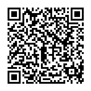 她不敢想象自己的儿子将來会在自己的眼前慢慢的终老至死的那一幕二维码生成
