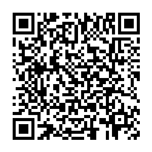 她不自觉地瞧向了桌子边上几乎淹没在一堆竹简和卷轴之中的模型二维码生成